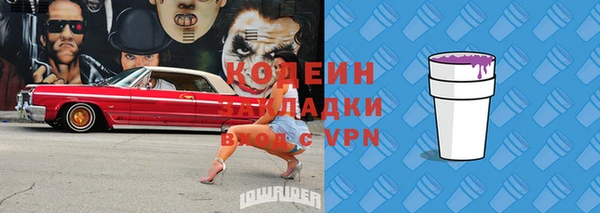 дурь Алексин