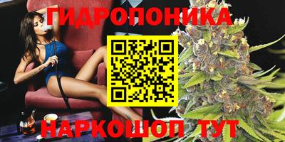 шишки Баксан