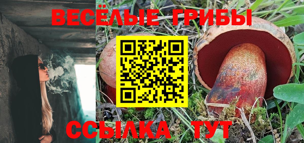 Псилоцибиновые грибы Magic Shrooms Курганинск