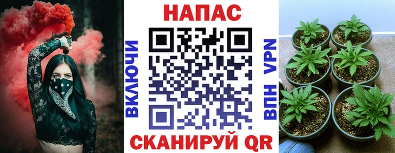 Конопля OG Kush Курганинск